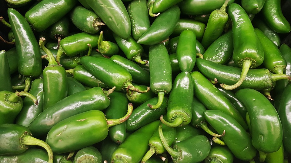 Chili Pepper 101: Jalapeno