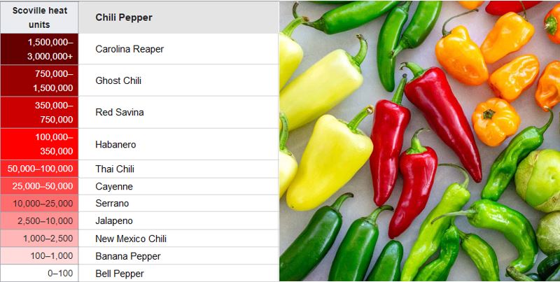 Chili Pepper 101: The Scoville Scale