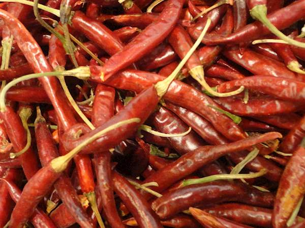 Chili Pepper 101: Chile de Arbol